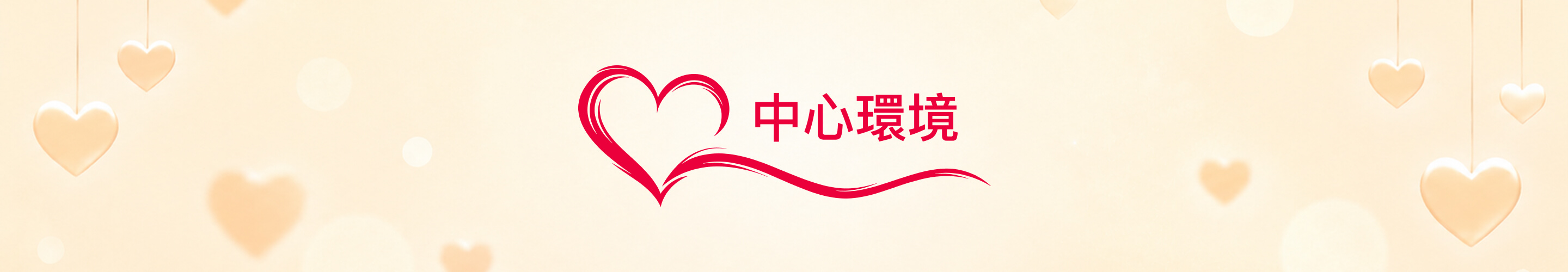 中心環境